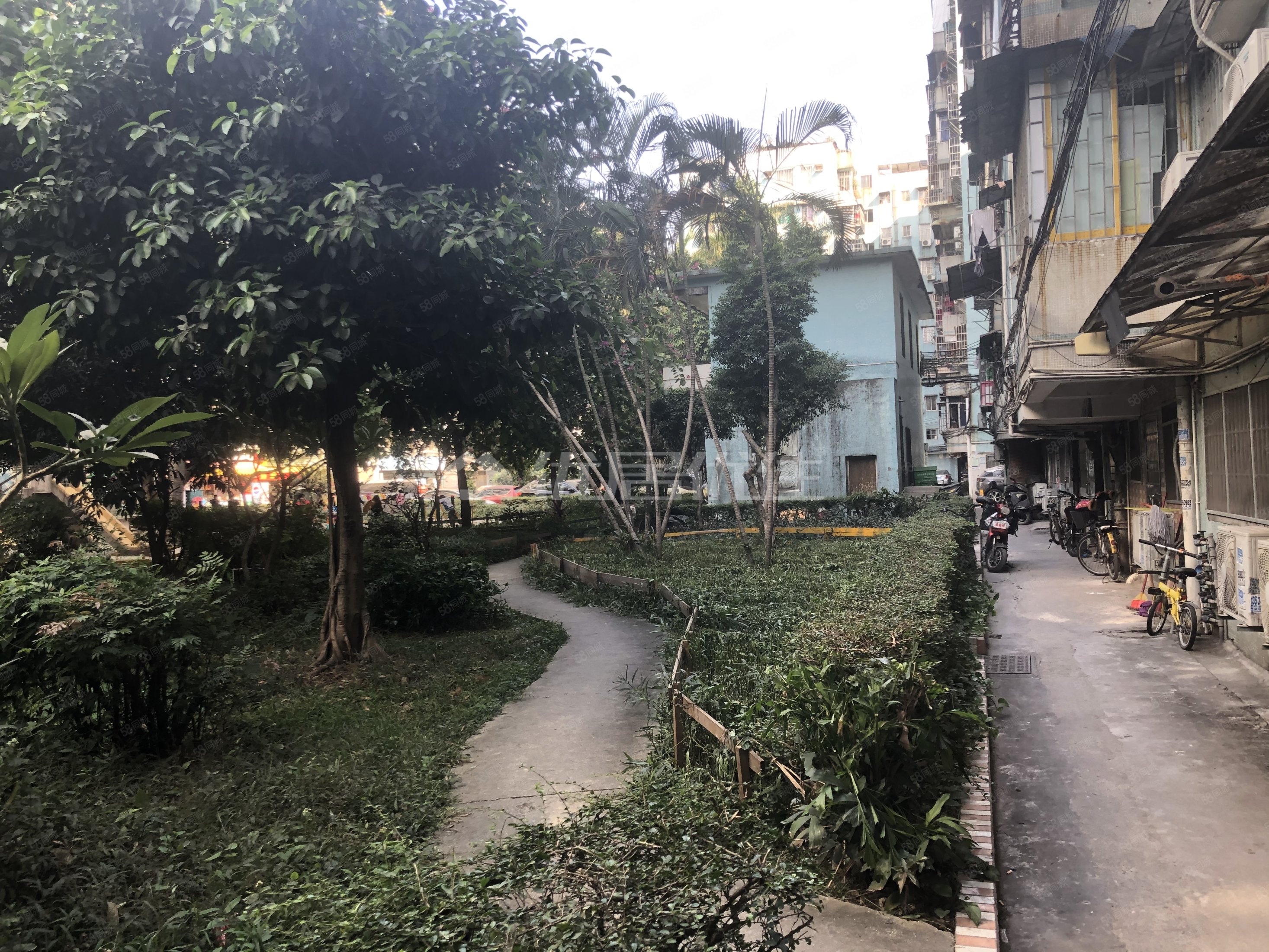 黄岐明珠广场3室2厅1卫76㎡南92万