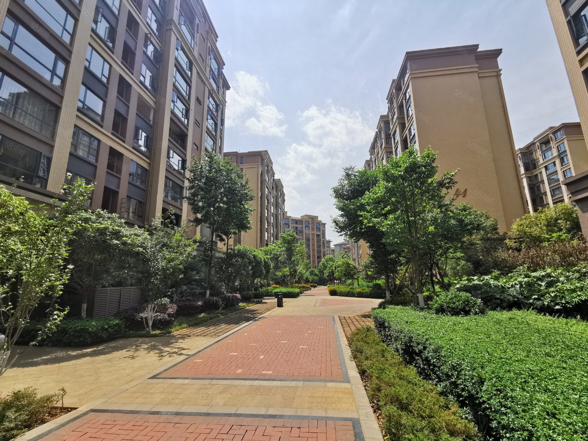 会展中心半岛华府一楼端头房带100平花园采光好