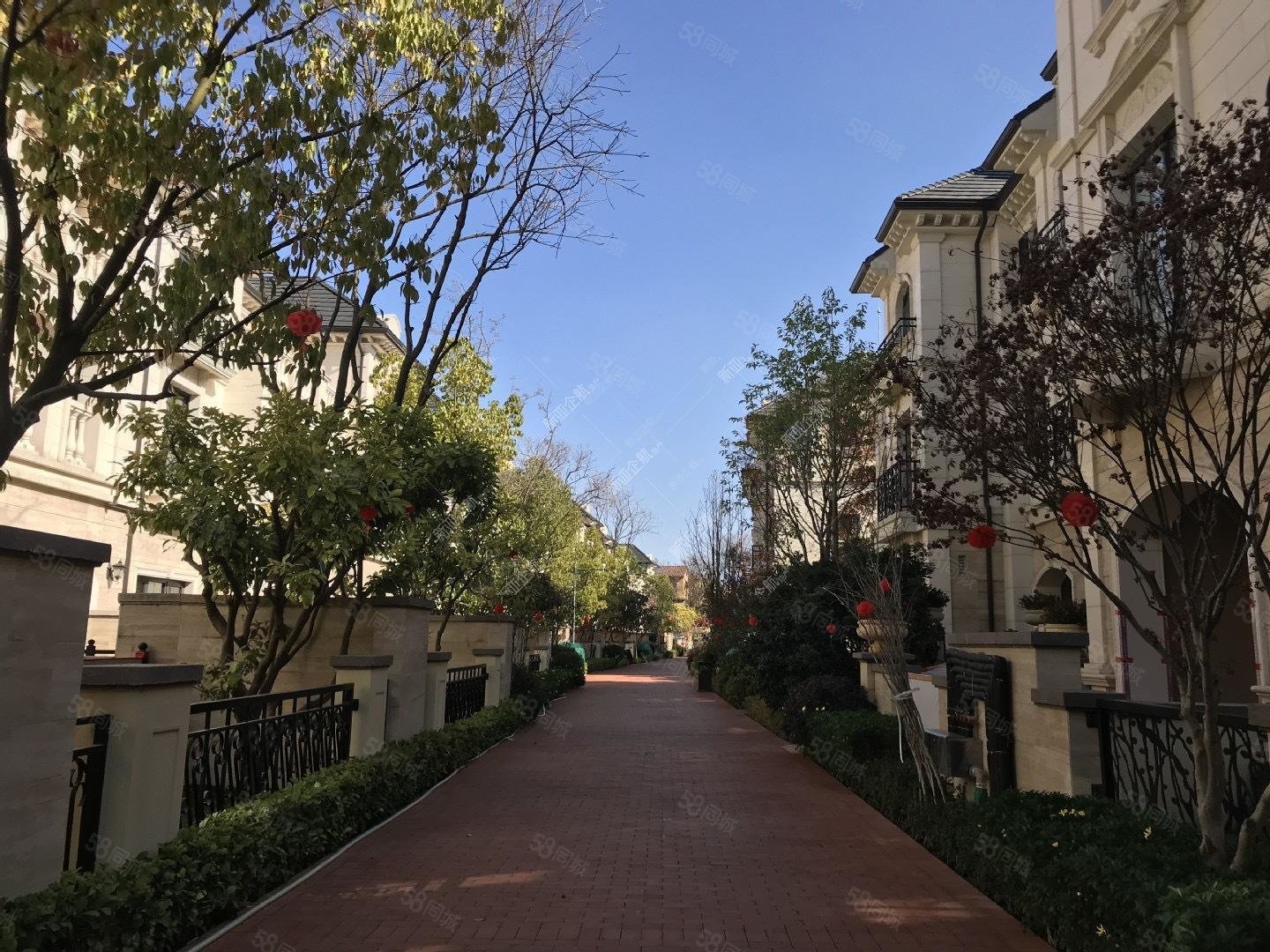 公园1903(三期)康醍先生 诚心出售 价格可以谈,公园1903康醍-昆明58