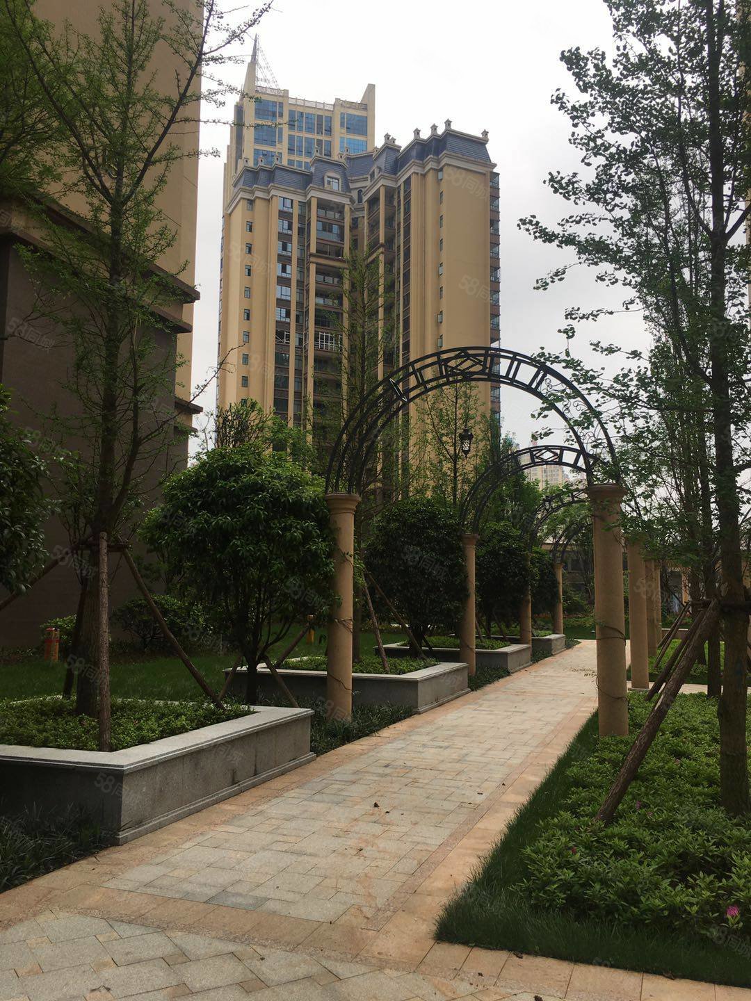 星美新外滩毛坯大3房朝南江景房视野采光户型非常好