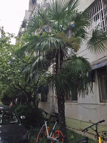 【罗兰德小区房价走势,罗兰德小区房屋出租,罗兰德小区二手房出售】