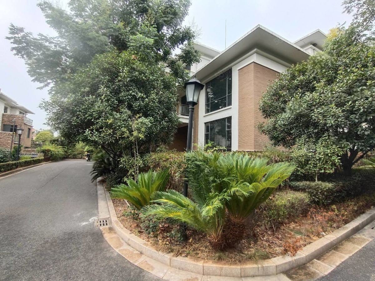 珑山林(别墅)5室3厅5卫434㎡南370万