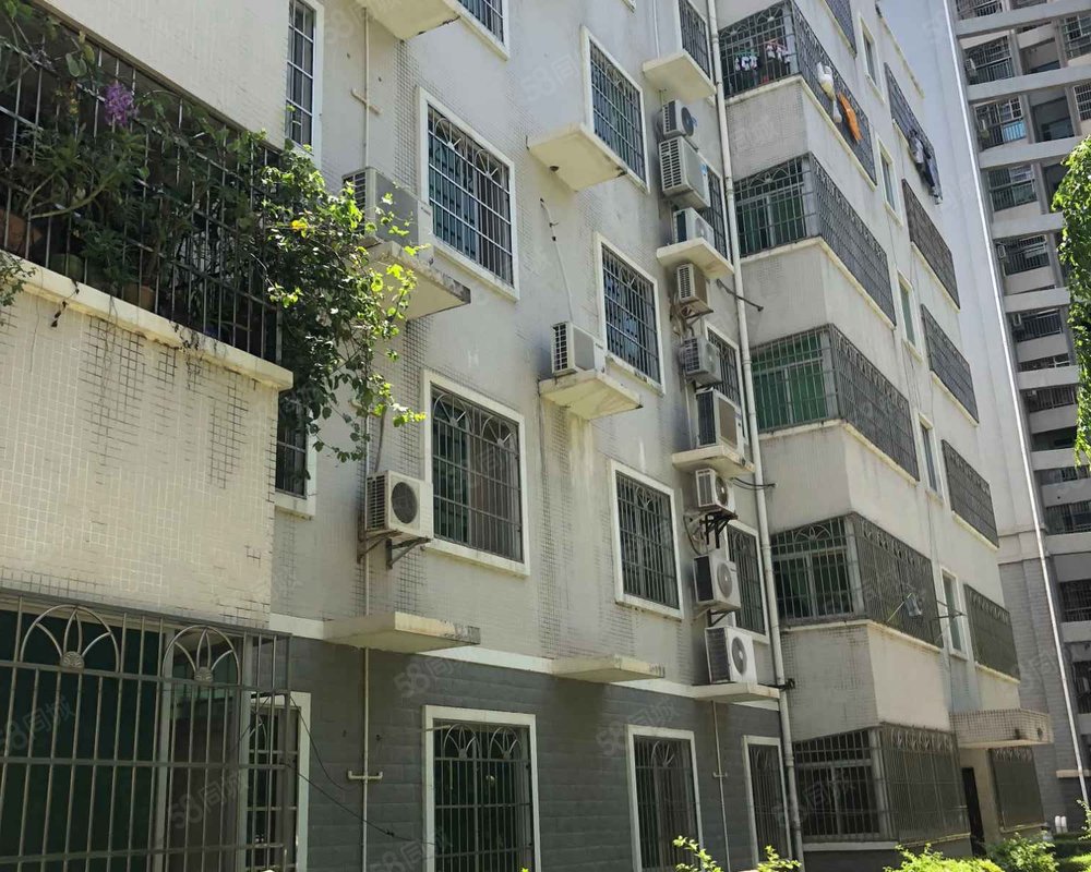 【丽晶花园, 丽晶花园小区详情,房价走势,房源,业主论坛】- 海口58