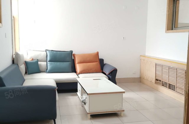 房东急售 老文轩 3室 中层四楼 停车方便 免大税