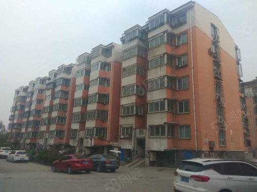 邯郸房屋买卖市场动态解析：二手房与新房如何选择