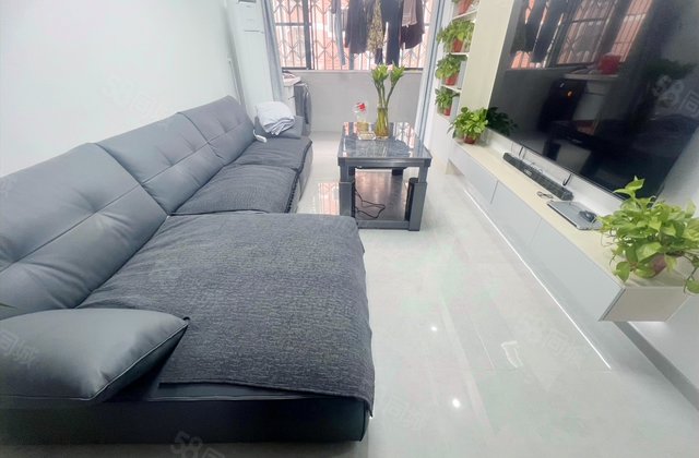 畅苑新村一区东3室2厅94.38㎡162万二手房图片