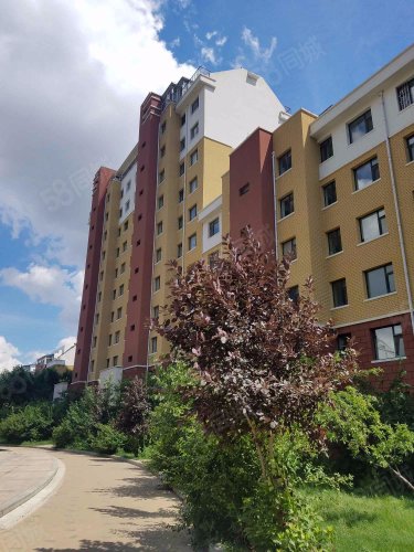 鸿城西域 精装修 两室 南北通透 亚泰大街繁荣路,亚泰大街6988号-长春