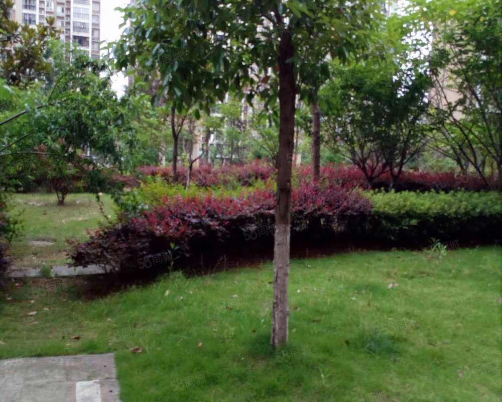 【和馨园a区, 和馨园a区小区详情,房价走势,房源,业主论坛】- 长沙58