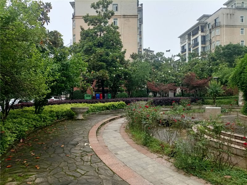 【10图】十中 大润发旁 天伦城 精装二房 保养非常