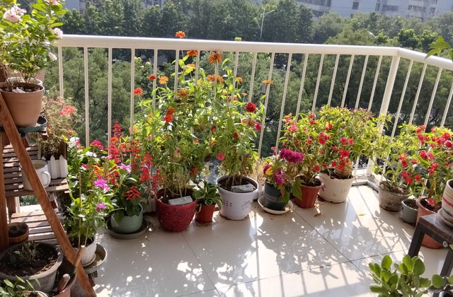 安阳圣达广场3室2厅139.5㎡70万二手房图片