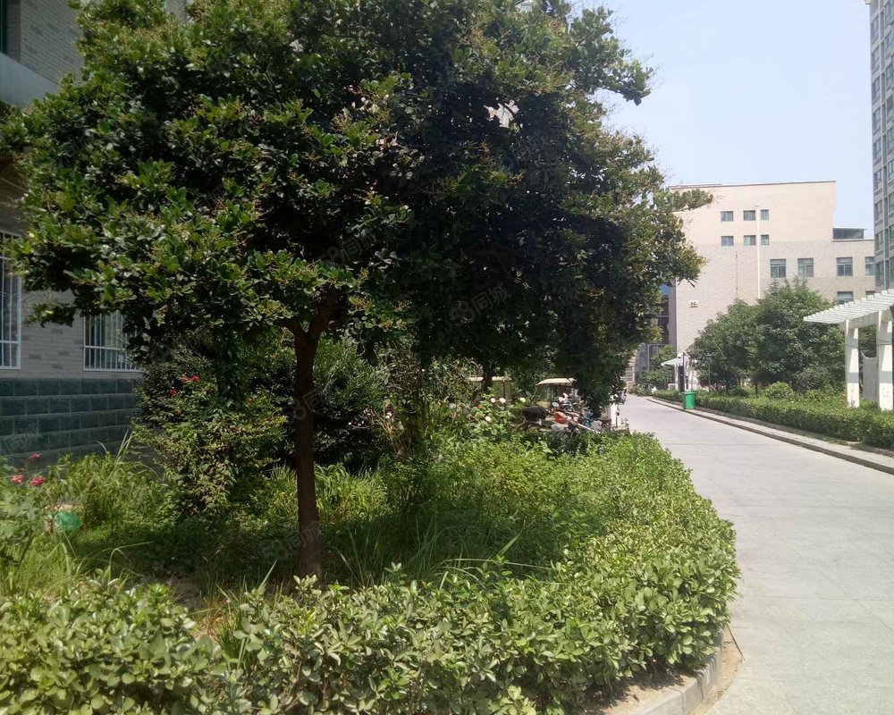 向阳荷花广场小区详情,房价走势,房源,业主论坛】- 南阳58同城