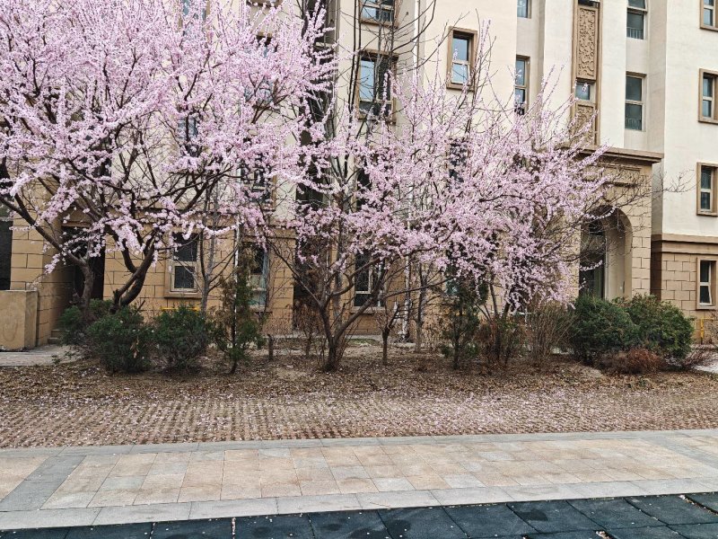 锦绣香江芙蓉湾花园2室2厅1卫98.31㎡南北38万