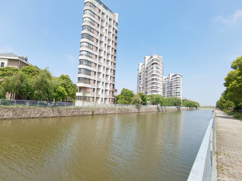 临港新片区 主城区建平学区,南北通透,采光好.