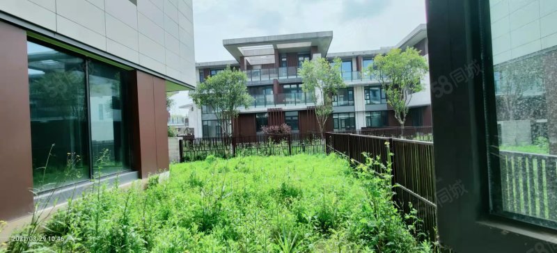 降价华侨城原岸别墅边户前后院子送车位送地下层随时看房