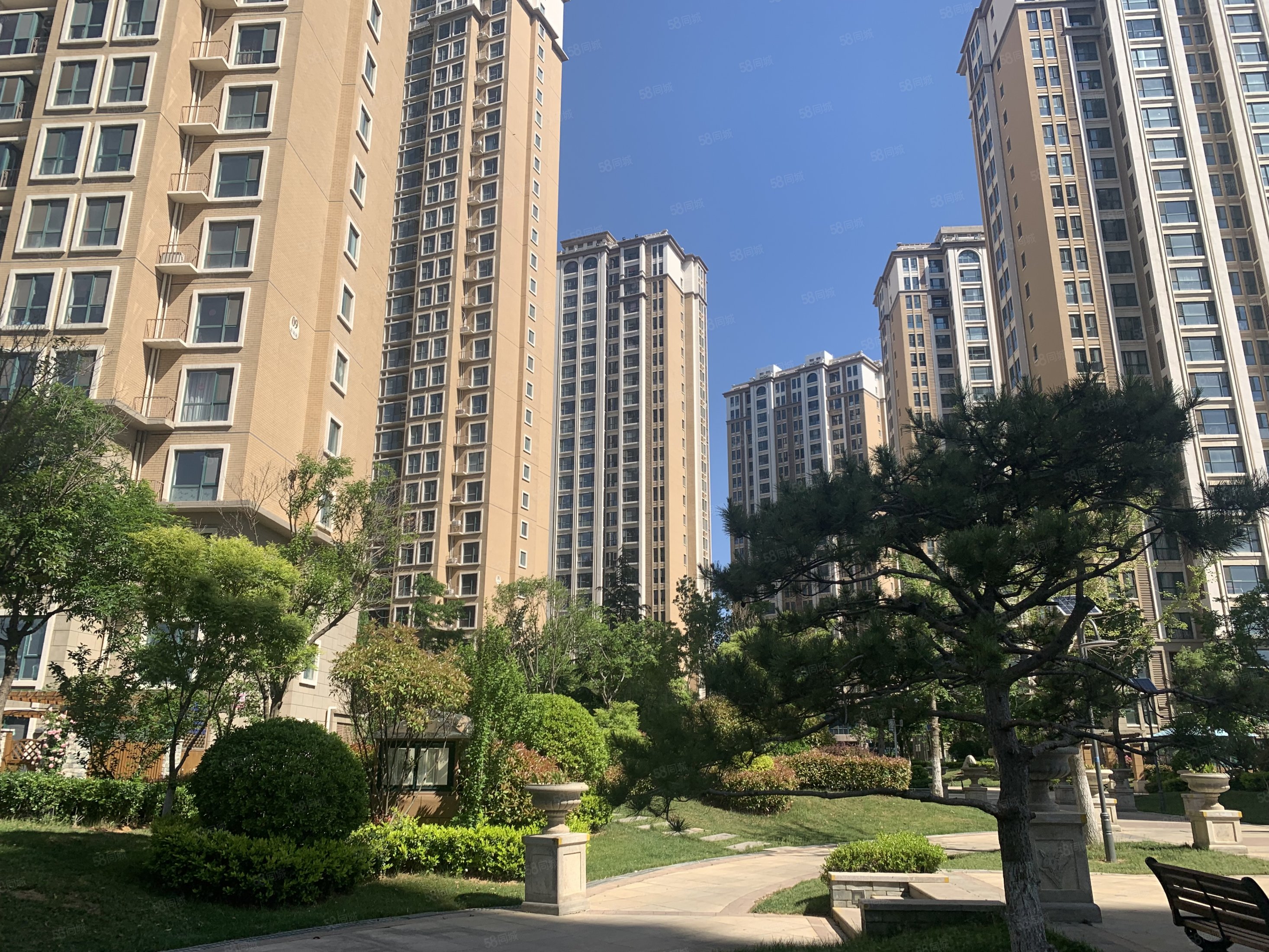 毛坯房出售 高楼层视野好,碧桂园凤凰山庄-烟台58同城
