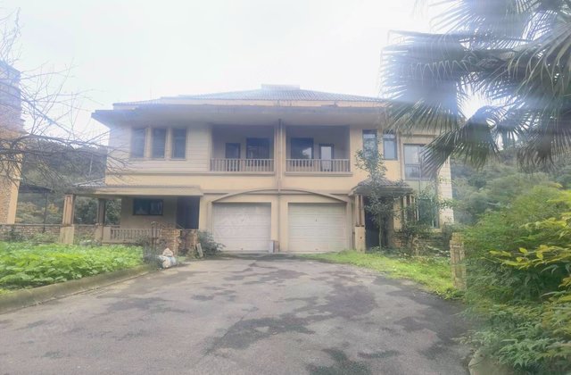 水天花园(别墅)7室5厅274㎡168万二手房图片