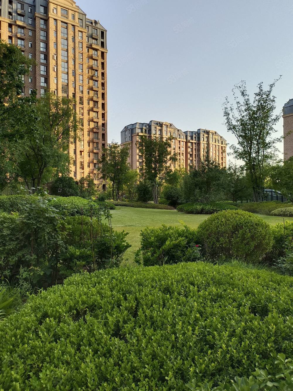 广电天韵5室2厅2卫230㎡南北530万