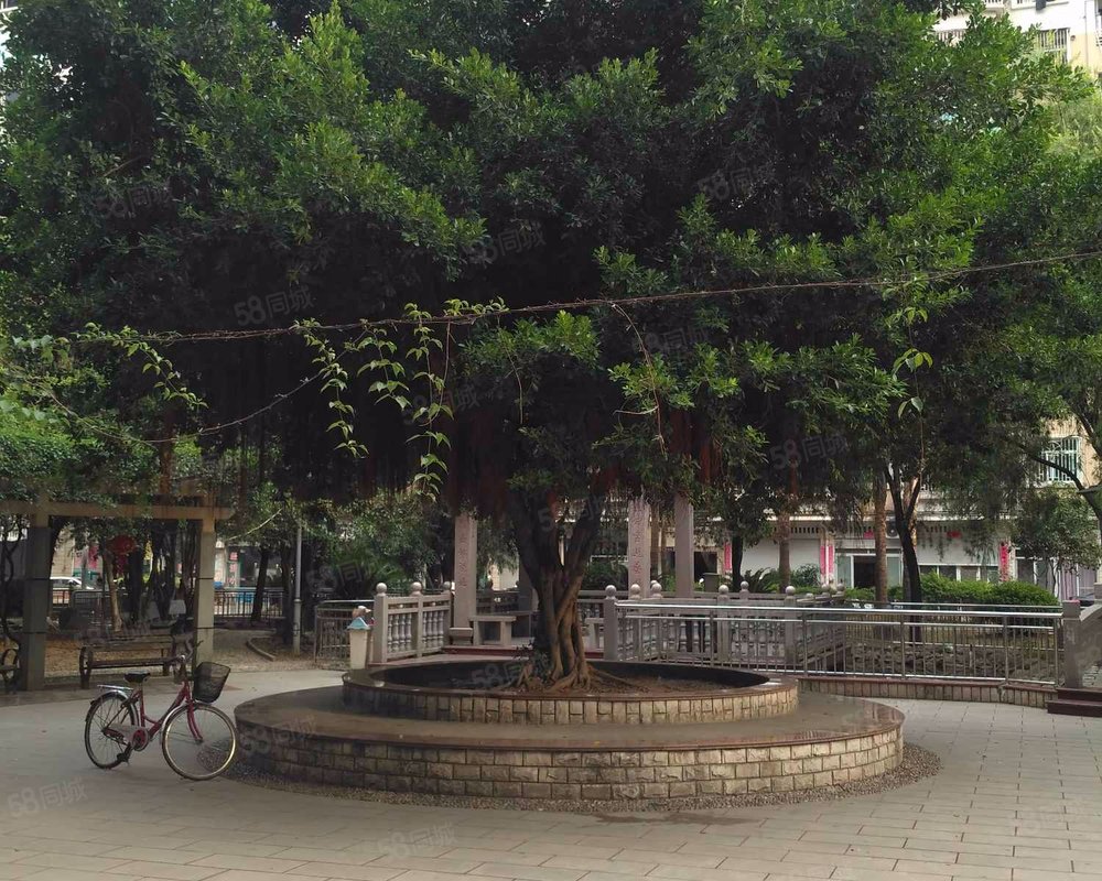 【丹凤花园二区, 丹凤花园二区小区详情,房价走势,房源,业主论坛】