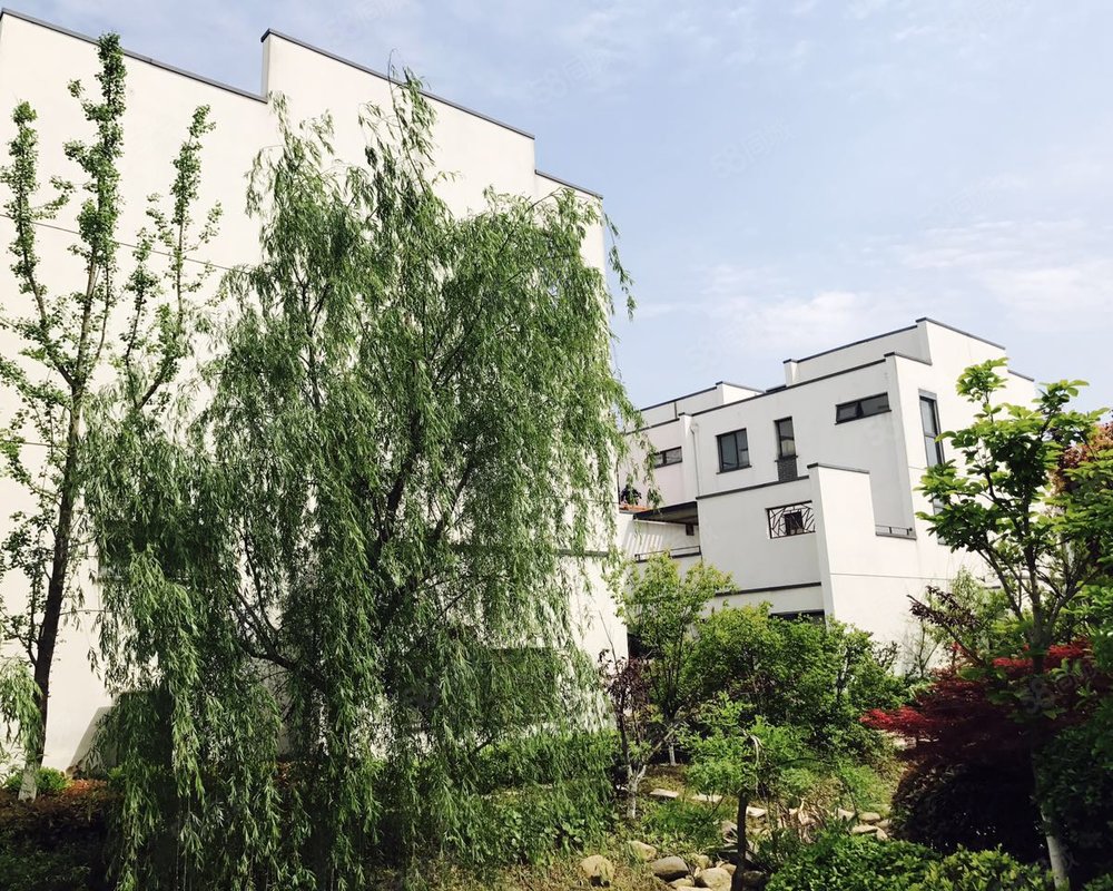 【绿岛花园(别墅), 绿岛花园(别墅)小区详情,房价走势,房源,业主论坛