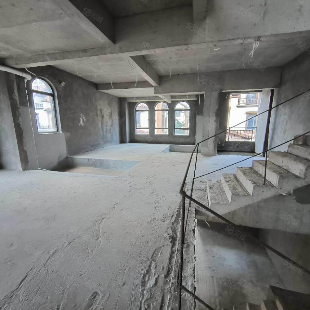 北部新洲莱茵别墅8室3厅7卫540㎡南北396万