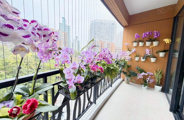 凯旋新世界广粤观邸3室2厅172㎡2680万二手房图片