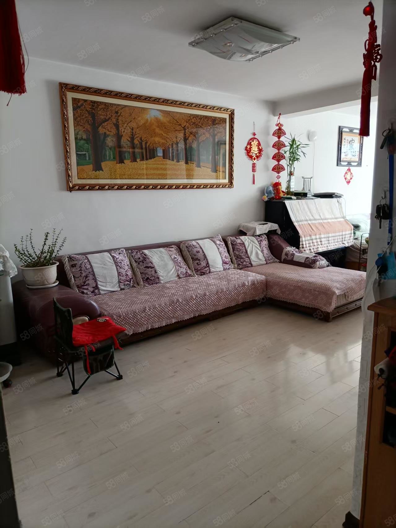 光明二区2室1厅1卫67㎡南北7.5万