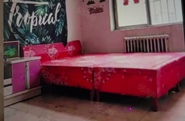 东阿县人民医院老家属区2室1厅63㎡20万二手房图片