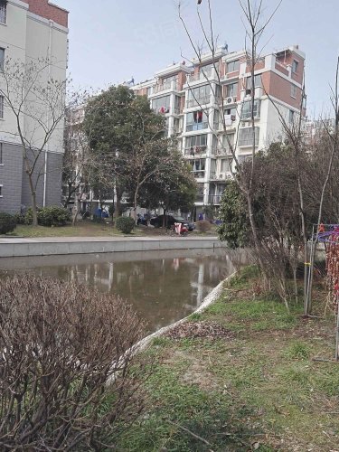 星海花园(东区)房屋出租,星海花园(东区)二手房出售】- 兴化58同城