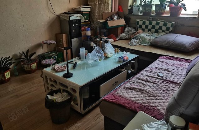 房子免大税了， 精装修可拎包入住 。南北通透