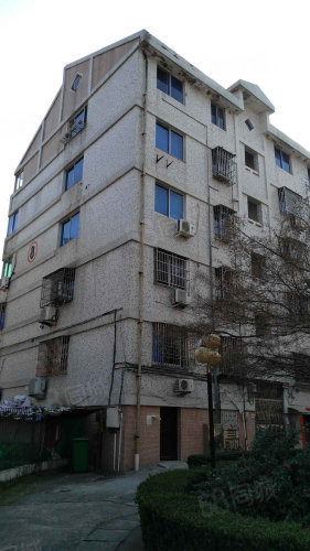 三星小区 开阳 双朝南 有阳台 南北通 户型方正 保养好