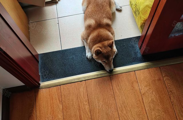 白云区龚家寨小区2室1厅62.18㎡21万二手房图片