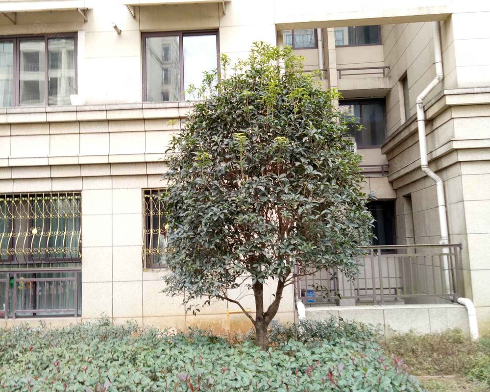 【北岭雅苑, 北岭雅苑小区详情,房价走势,房源,业主论坛】- 武义县58