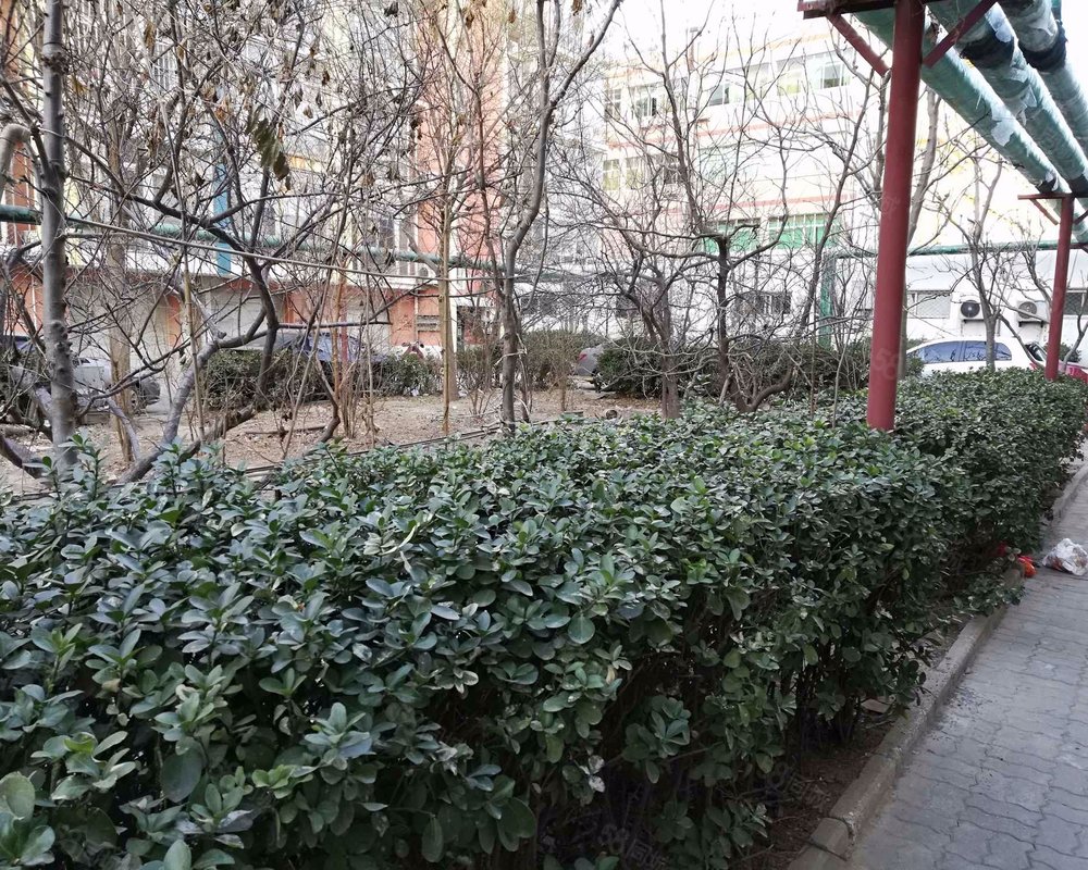 【金阳花园, 金阳花园小区详情,房价走势,房源,业主论坛】- 沧州58