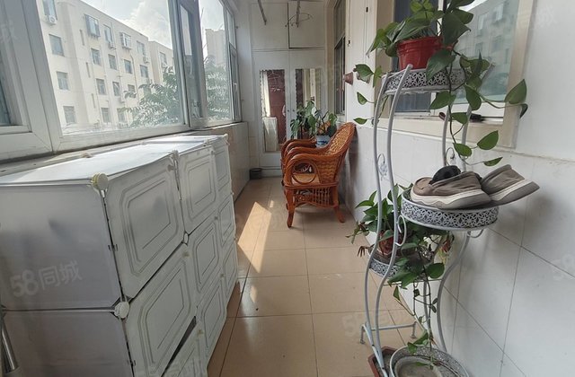 急售文轩本部 龙山南区 步梯二楼 三室朝阳 免大税 随时看房