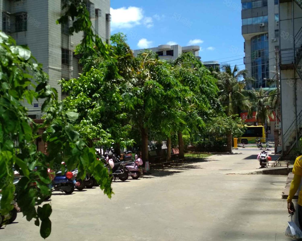 【金谷大厦, 金谷大厦小区详情,房价走势,房源,业主论坛】- 海口58