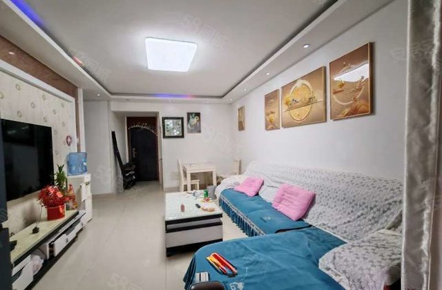 老文轩  房 龙湾商品房近东门 精装修方正户型 采光好免大税