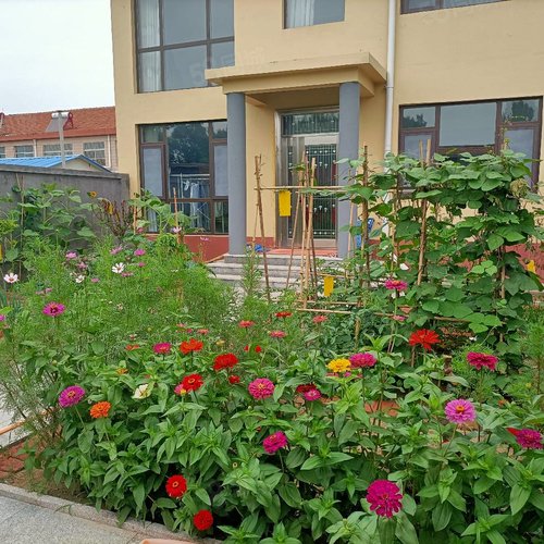 【潍坊高密市高密城区私家别墅】-潍坊58同城