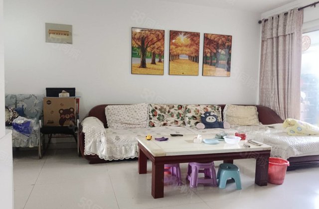 阿尔卡迪亚绣园(三期) 商品房 满五 精装可拎包入住 带电梯