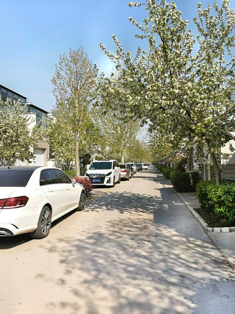 【10图】郑东北四环送90平米花园养生别墅.,马渡新村5号院-郑州58同城