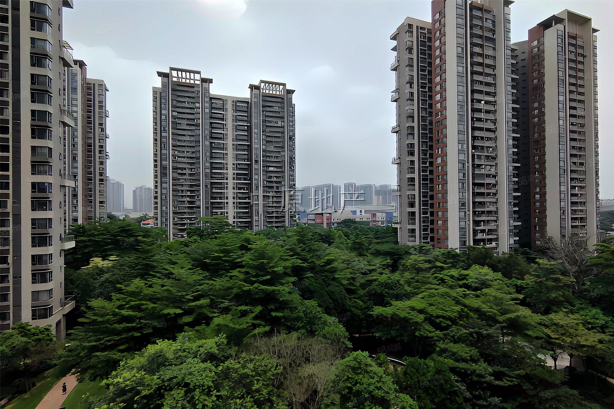 望花园招商金山谷领仕高绿化精装修板楼双卫生间