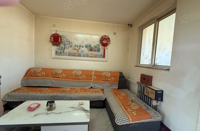 老文轩一路之隔柳园小区 裕昌文轩 三室南北通透  停车方便