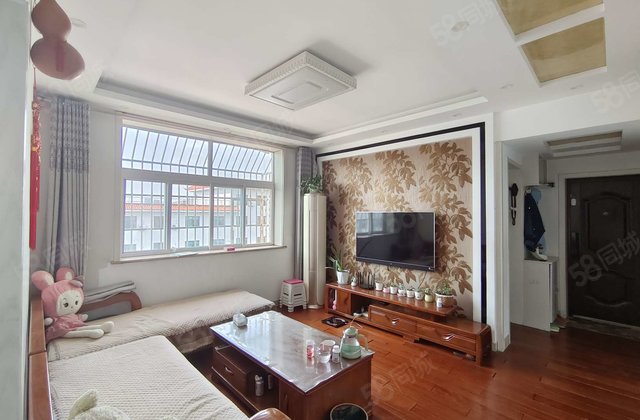 急售文轩本部，二实验，区委，龙山南区，三室朝阳，满二