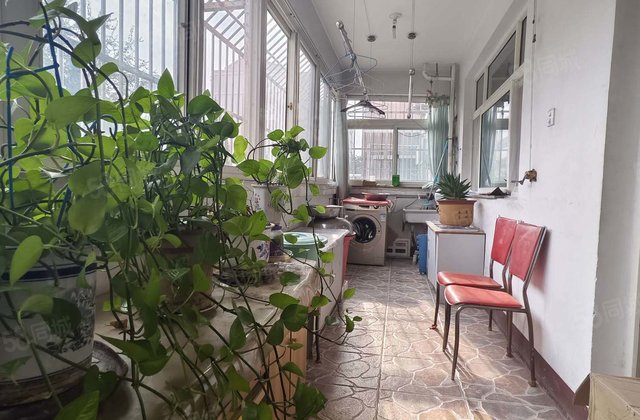 六中北 东昌路 新世纪花园 多层1楼 带大车库 3室向阳