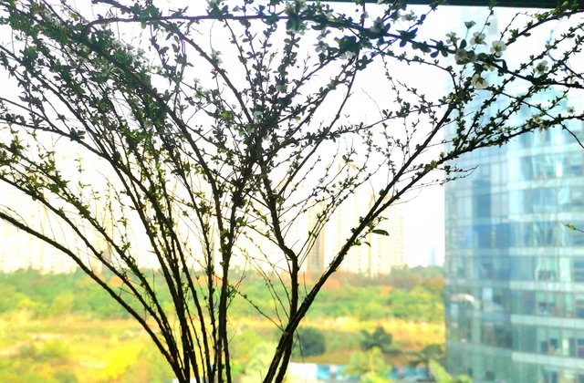 华润东原时光绘2室2厅48.46㎡70万二手房图片