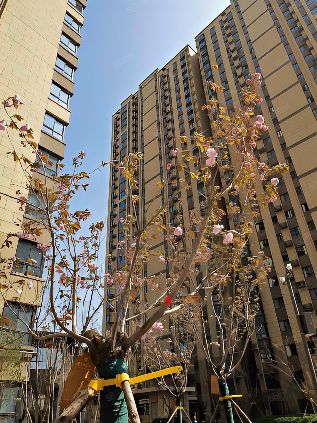 西安58同城>西安房产信息>西安二手房>未央二手房>三桥二手房>海棠湾>