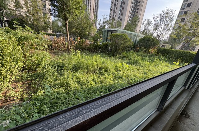 新一中 陪文 民生   度假区实验   外国语 市医院分院