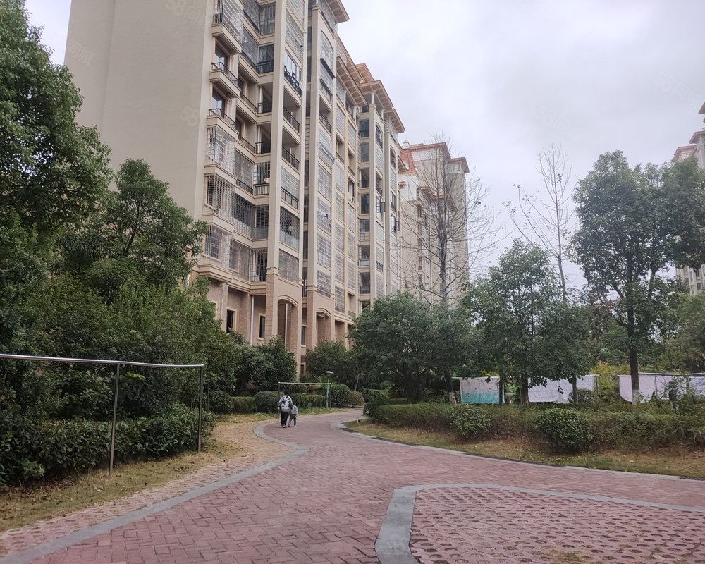 滨江新城兴国县