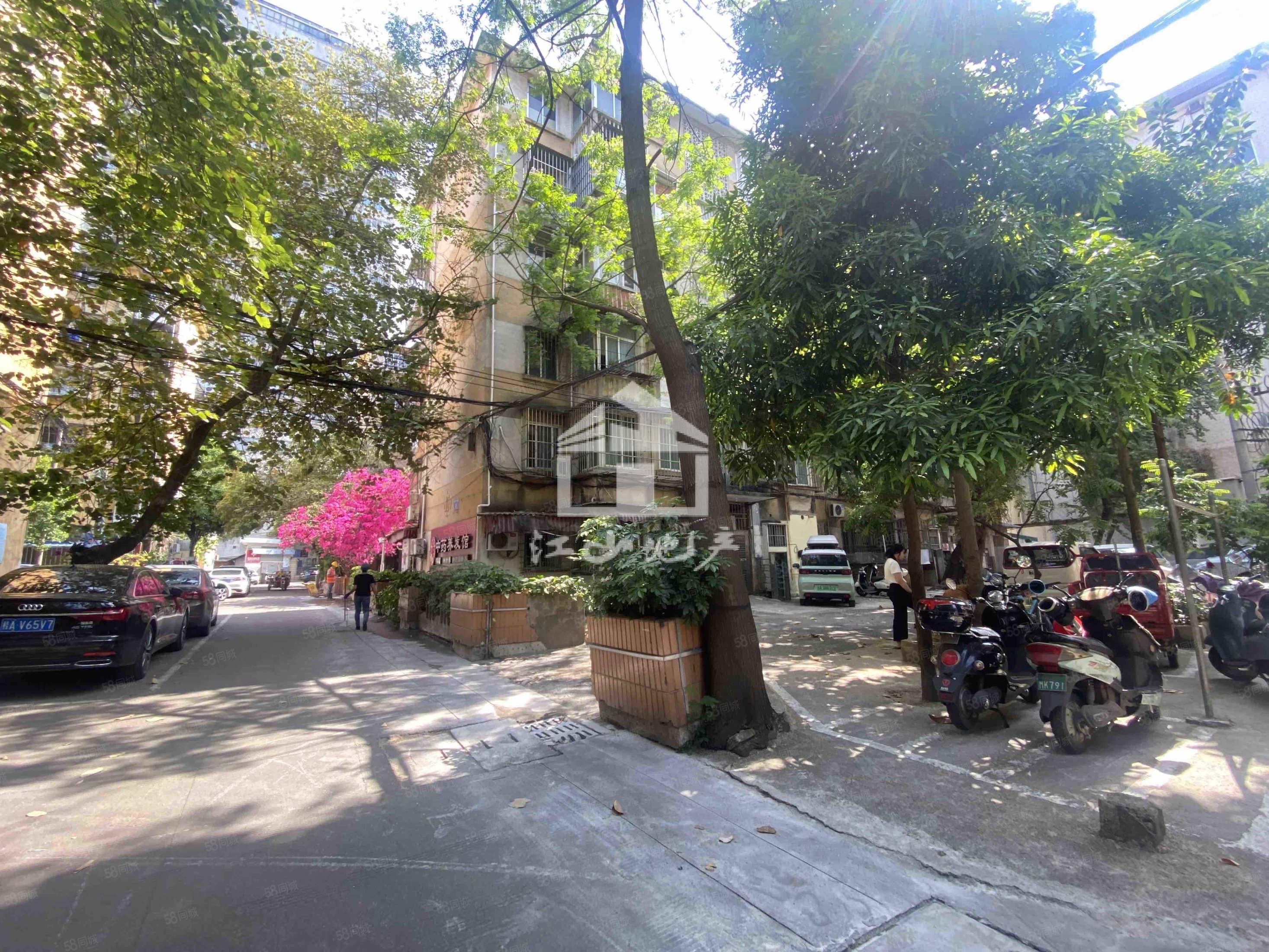 适合老人 茶花园路 南湖边 新竹小区两房 临近 ,新竹小区-南宁58同城