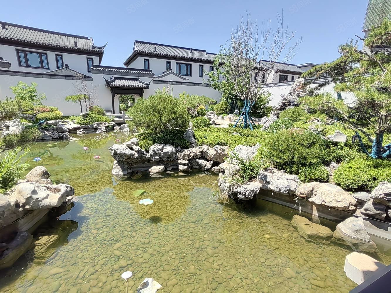河湟新区 现代风合院 带电梯送露台 绿化高支持各种贷款,东望府-西宁
