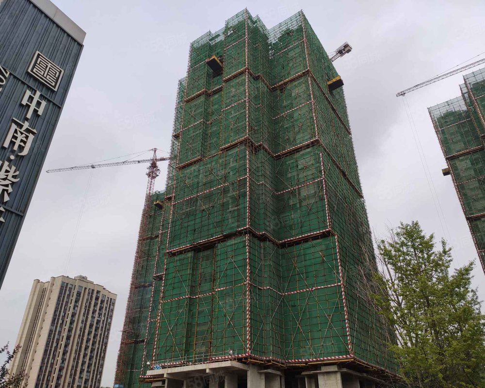 【中南紫云集, 中南紫云集小区详情,房价走势,房源,业主论坛】- 重庆